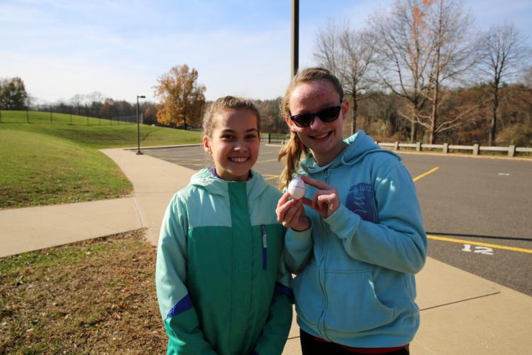A Sunny Side Up Experiment At Reed The Newtown Bee