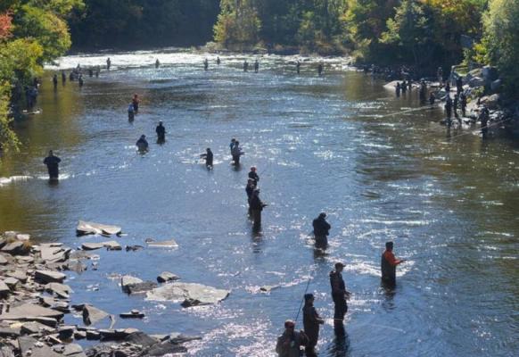 douglaston salmon run