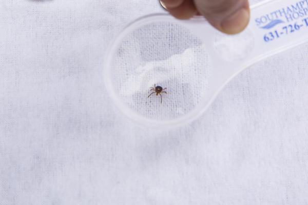 Protect Yourself Against Lyme Disease Protect Yourself Against Lyme Disease