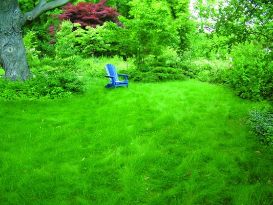 Is A No Mow Lawn For You Hudson Valley 360
