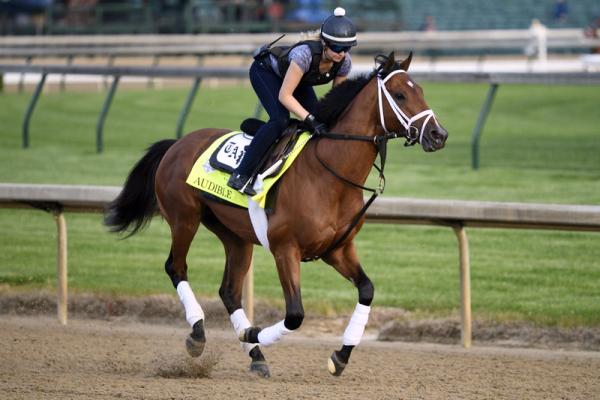 from pine plains to the kentucky derby hudson valley 360 kentucky derby works