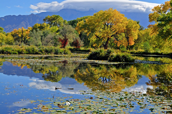 5 Photogenic Locations