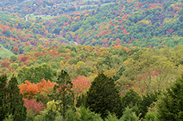photo of area