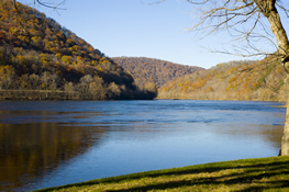 photo of area