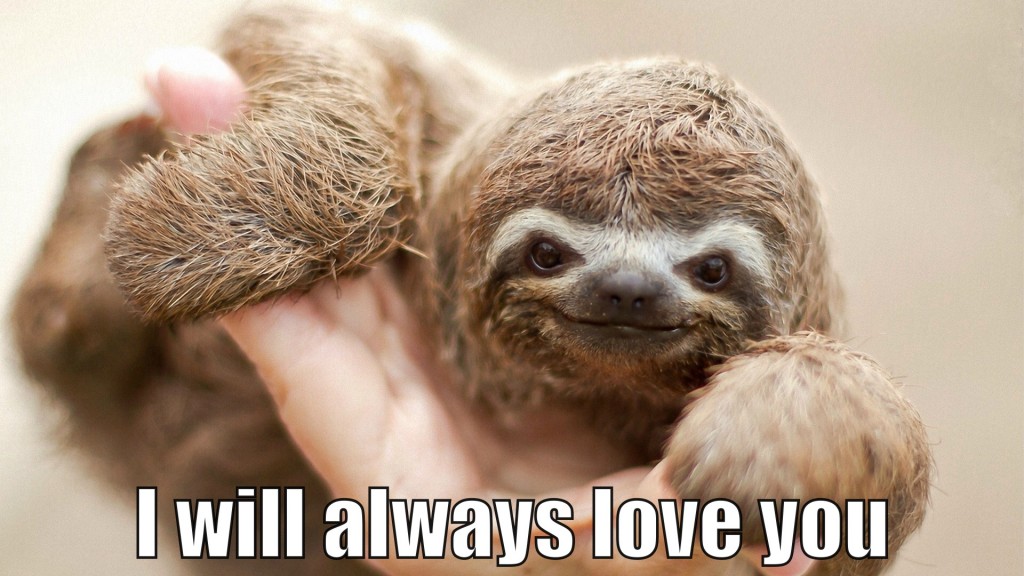 slothlovesyou