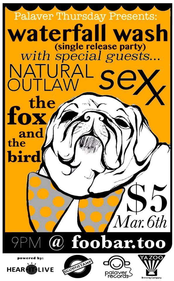 WaterfallWash_3-6-14Flyer