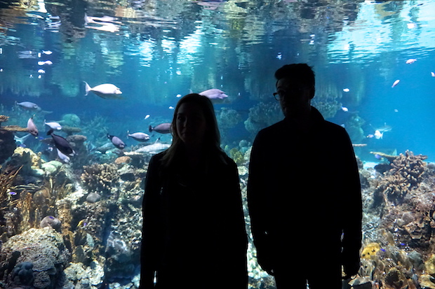 The Saint Johns 2-06