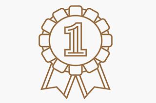 Award number one