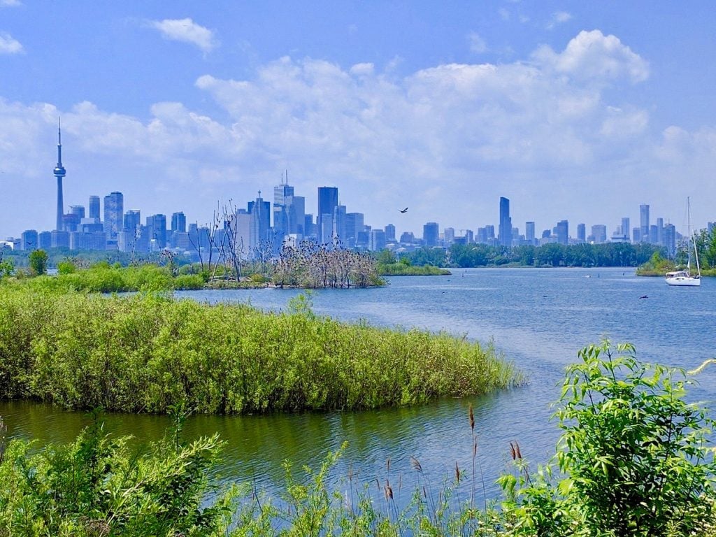 Canada for Kids: View from Tony Thompson Park