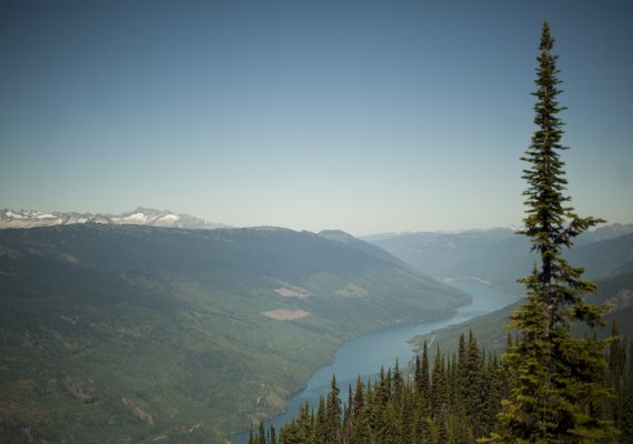 Family Adventure in Mt. Revelstoke National Park Family Adventure in Mt. Revelstoke National Park