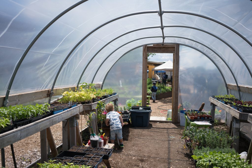 Things to do in NYC with Kids: Seeing how food grows