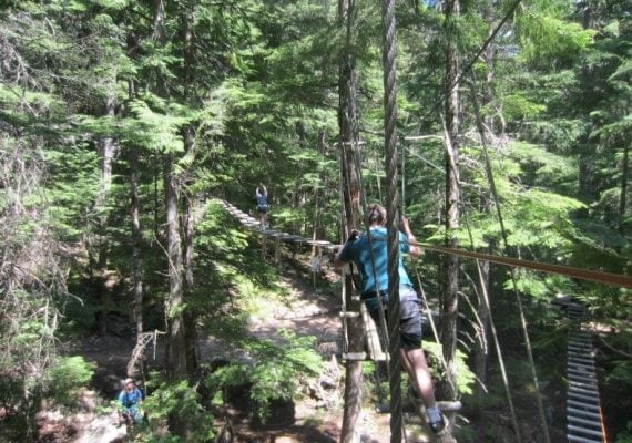 A Treetop Whistler Adventure in British Columbia A Treetop Whistler Adventure in British Columbia