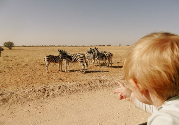 Etosha National Park: A Safari and Camping Adventure Etosha National Park: A Safari and Camping Adventure