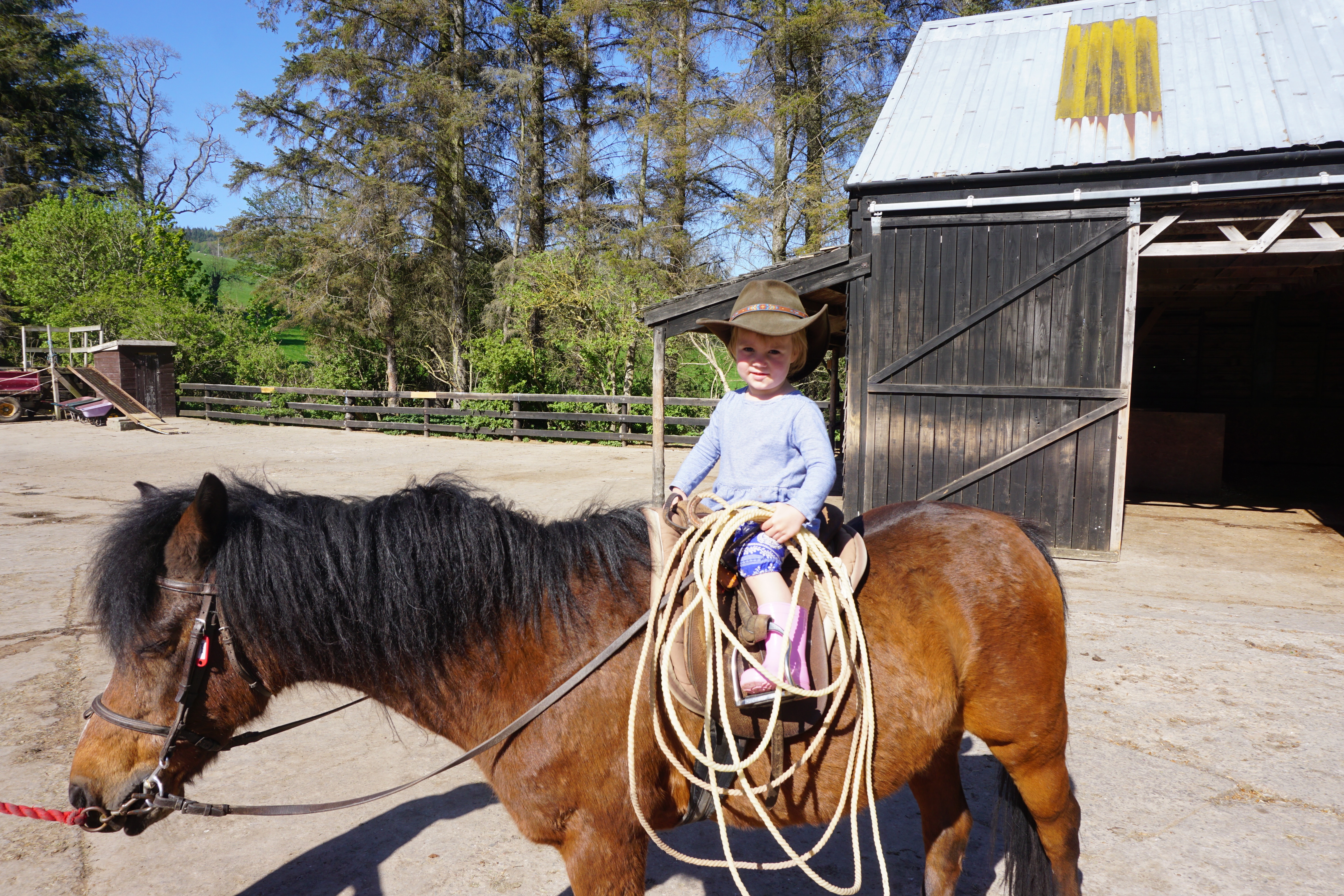 family travel kids horse