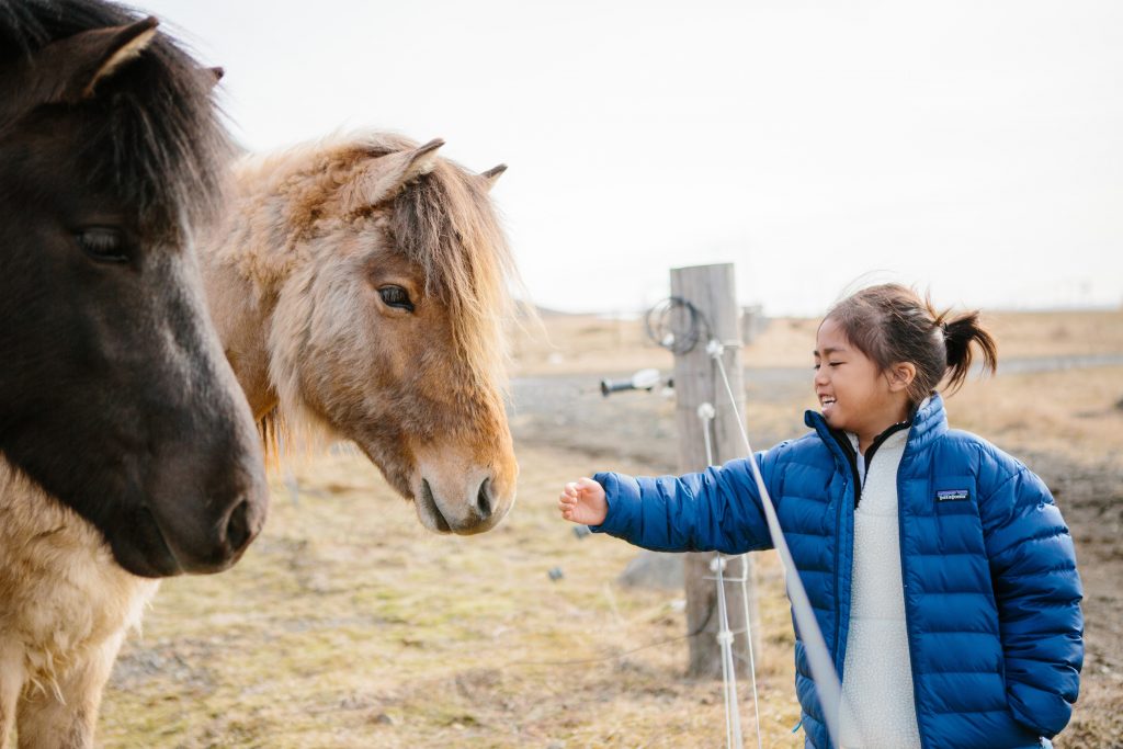 Iceland with kids Vik