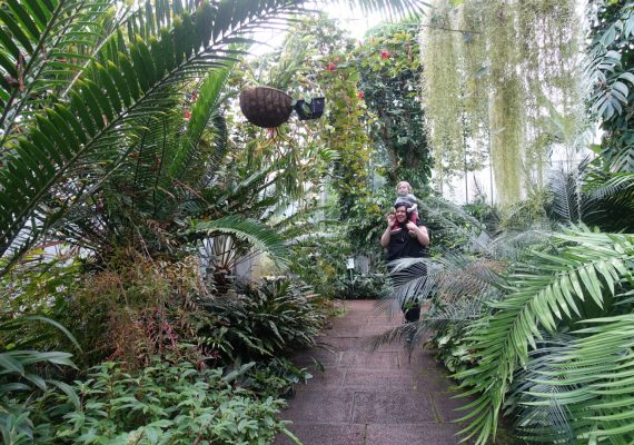 Green Fun at the Botanic Garden Edinburgh Green Fun at the Botanic Garden Edinburgh