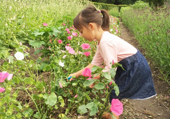 Stockholm with Kids: Djurgården in Full Bloom Stockholm with Kids: Djurgården in Full Bloom