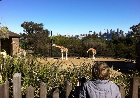 Sydney’s Taronga Zoo Adventure Sydney’s Taronga Zoo Adventure