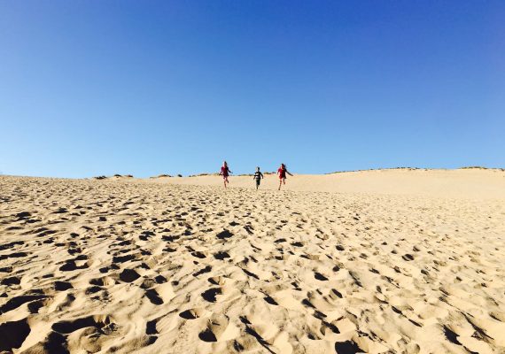 Bike Tour of Sleeping Bear Dunes Bike Tour of Sleeping Bear Dunes