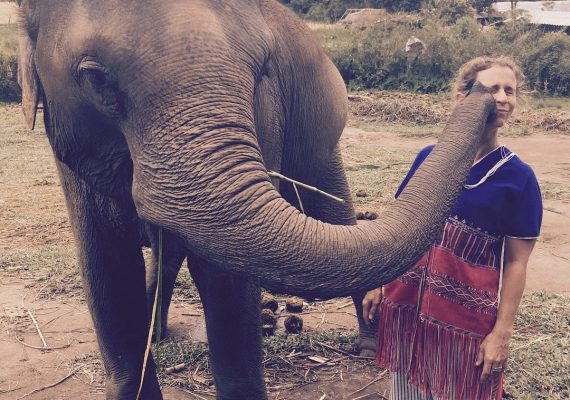 Elephant Kisses and More in Chiang Mai Elephant Kisses and More in Chiang Mai