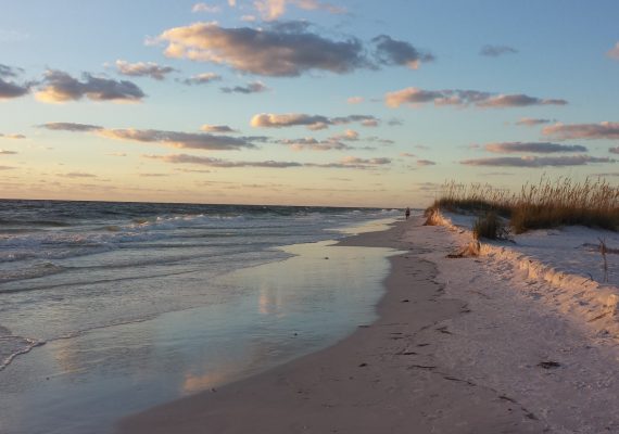 A Perfect Day of Anna Maria Island Beach Activities A Perfect Day of Anna Maria Island Beach Activities