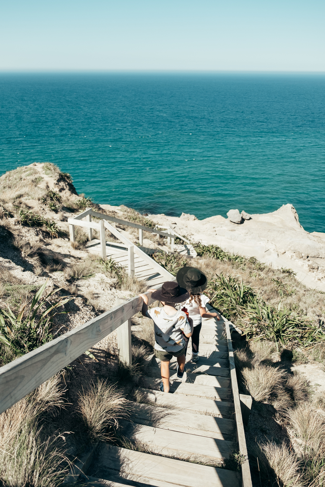 View from Castlepoint Lighthouse in New Zealand