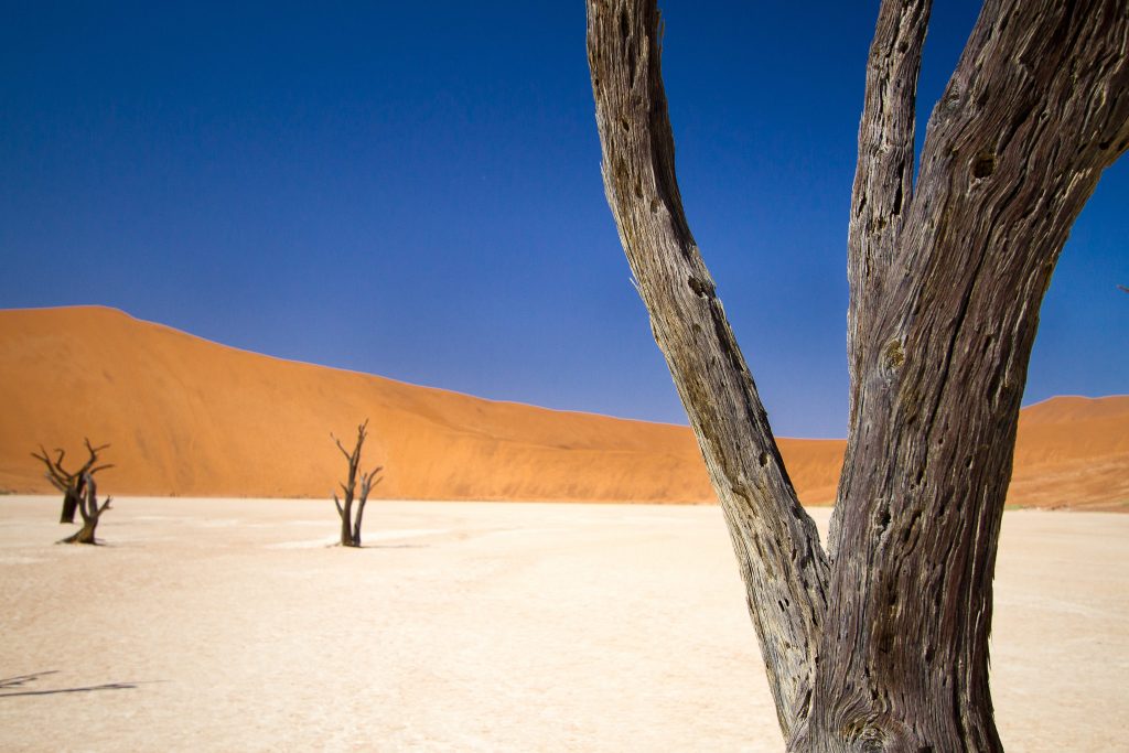 African Safari Holidays: Deadvlei