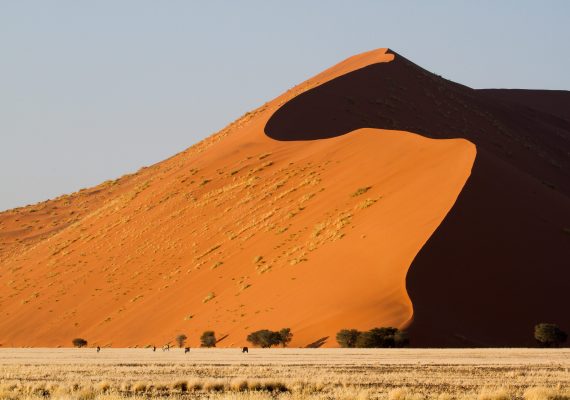 Africa for Kids: Living Next to the Namib Desert Africa for Kids: Living Next to the Namib Desert