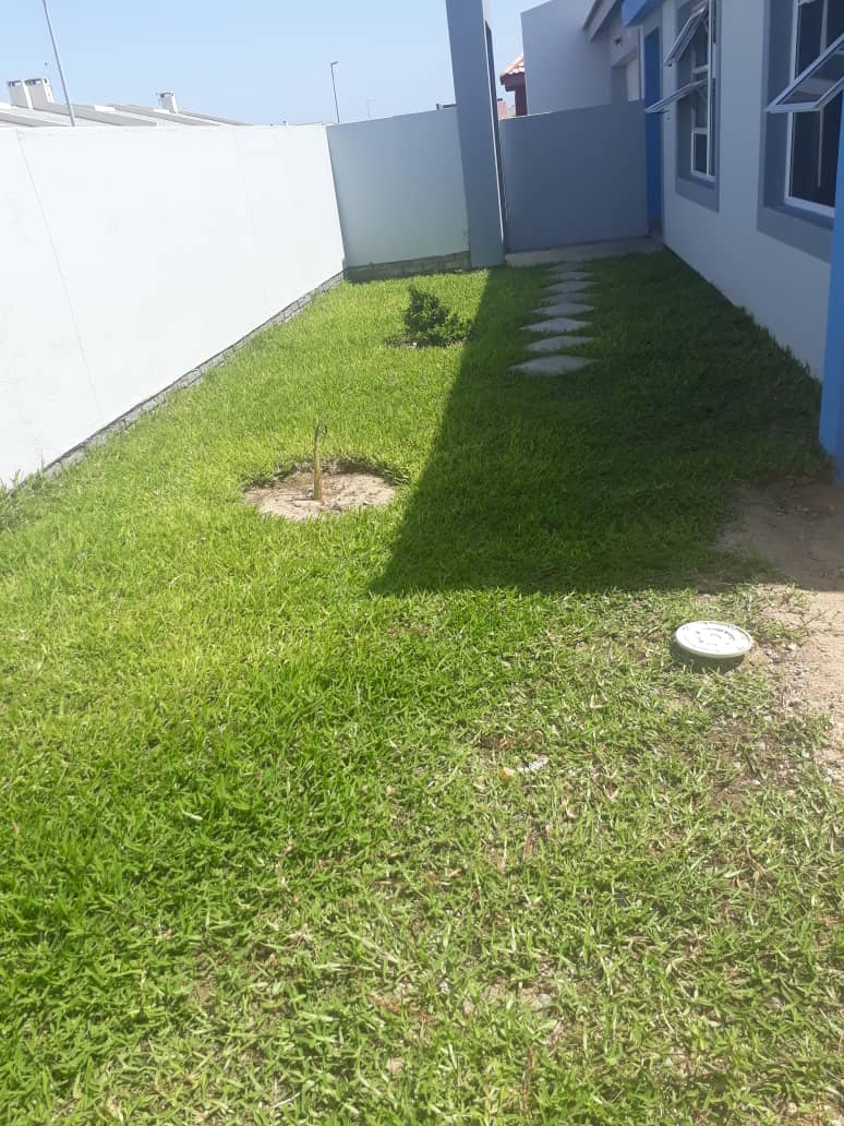 Africa for Kids: Lawn at Clive's house