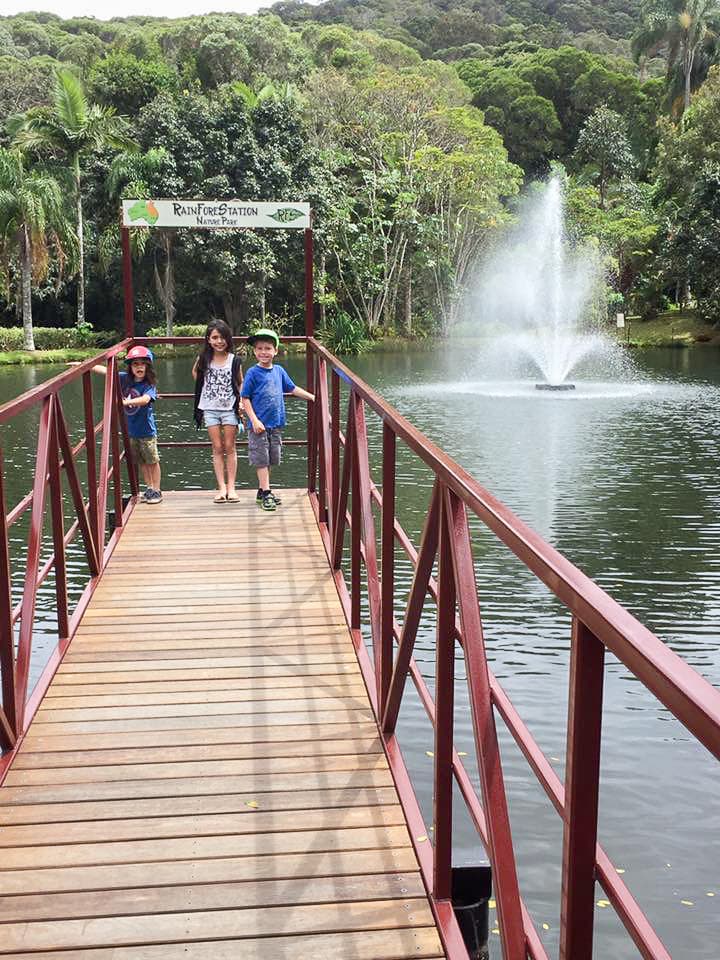 Australia for Kids: RainForeStation Nature Park