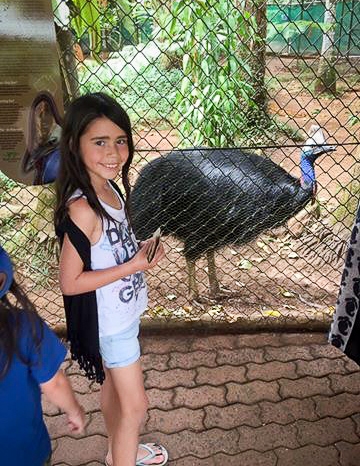 Australia for Kids: Cassowary