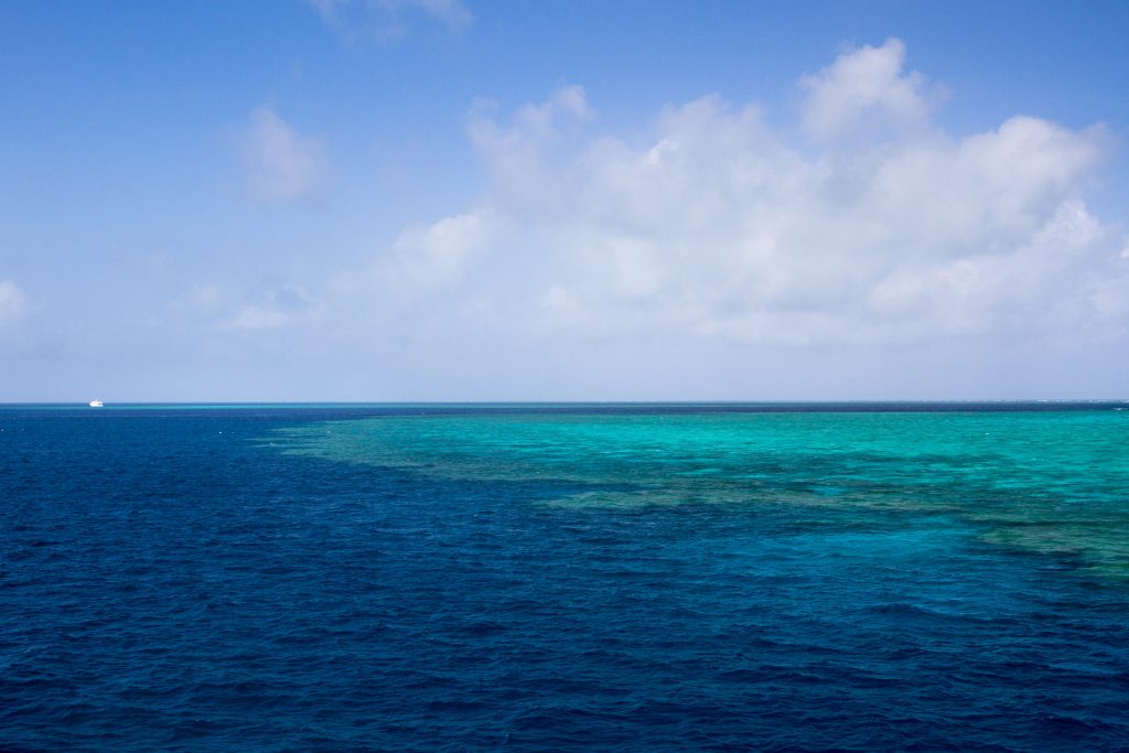 Australia for Kids: The Edge of the Reef