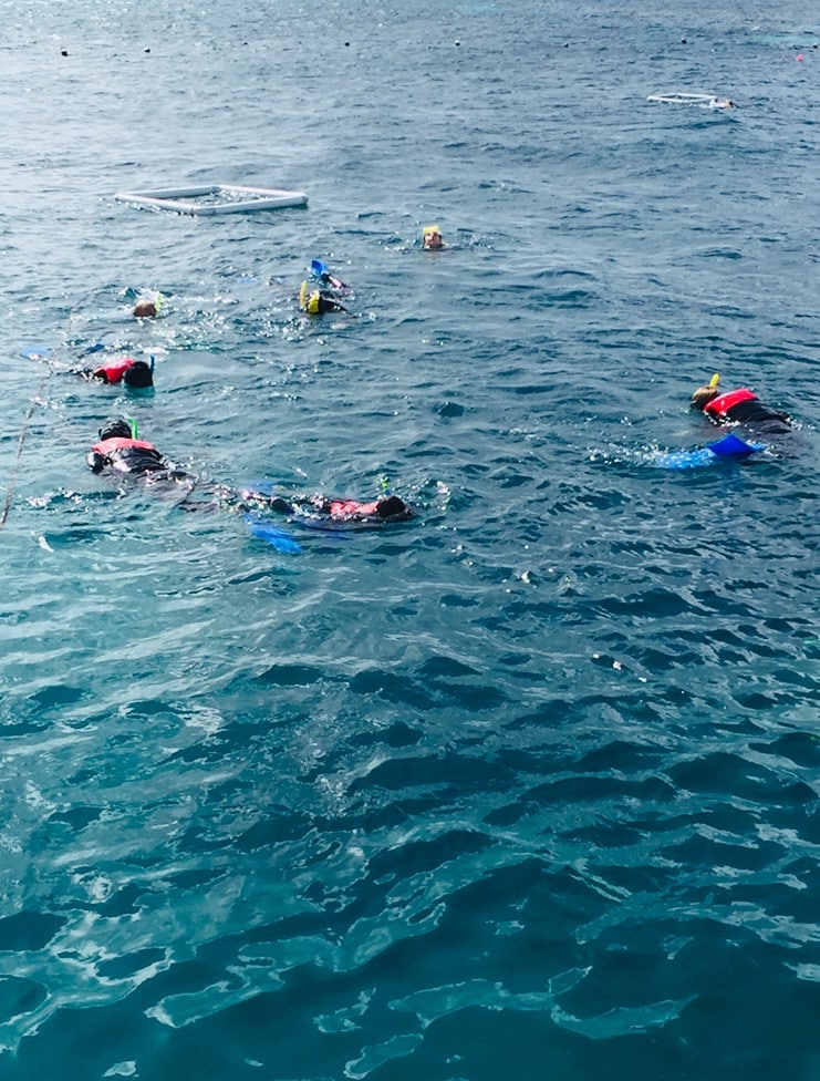 Australia for Kids: Snorkeling on the Reef