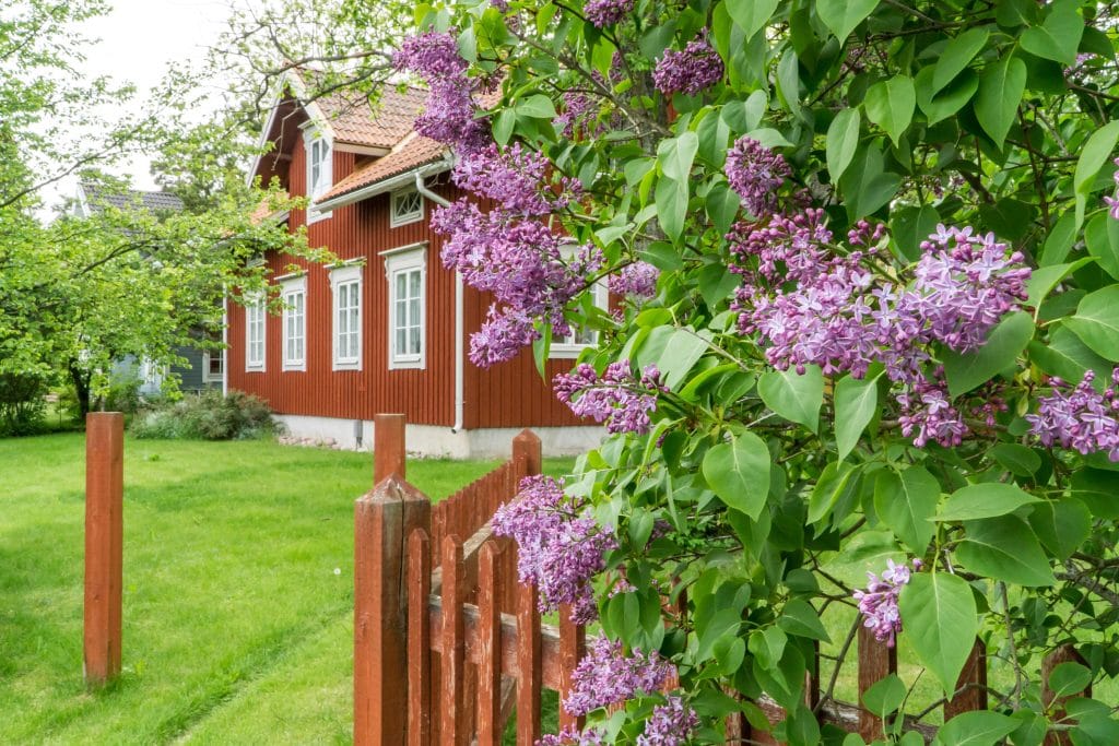 What to do in Finland with Kids: Åland Islands
