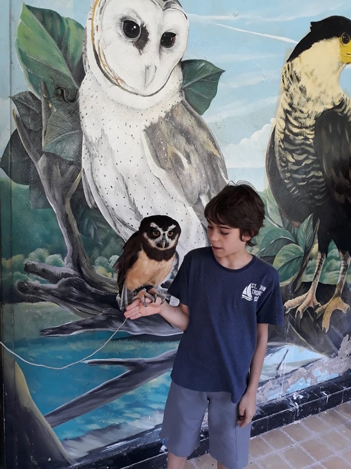 Brazil for Kids: Parque dos Falcões