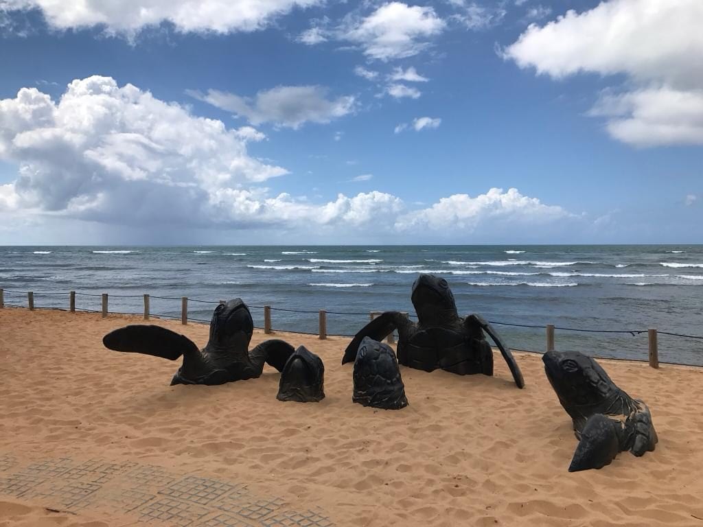 Brazil for Kids: Sculptures of turtles at Projeto Tamar