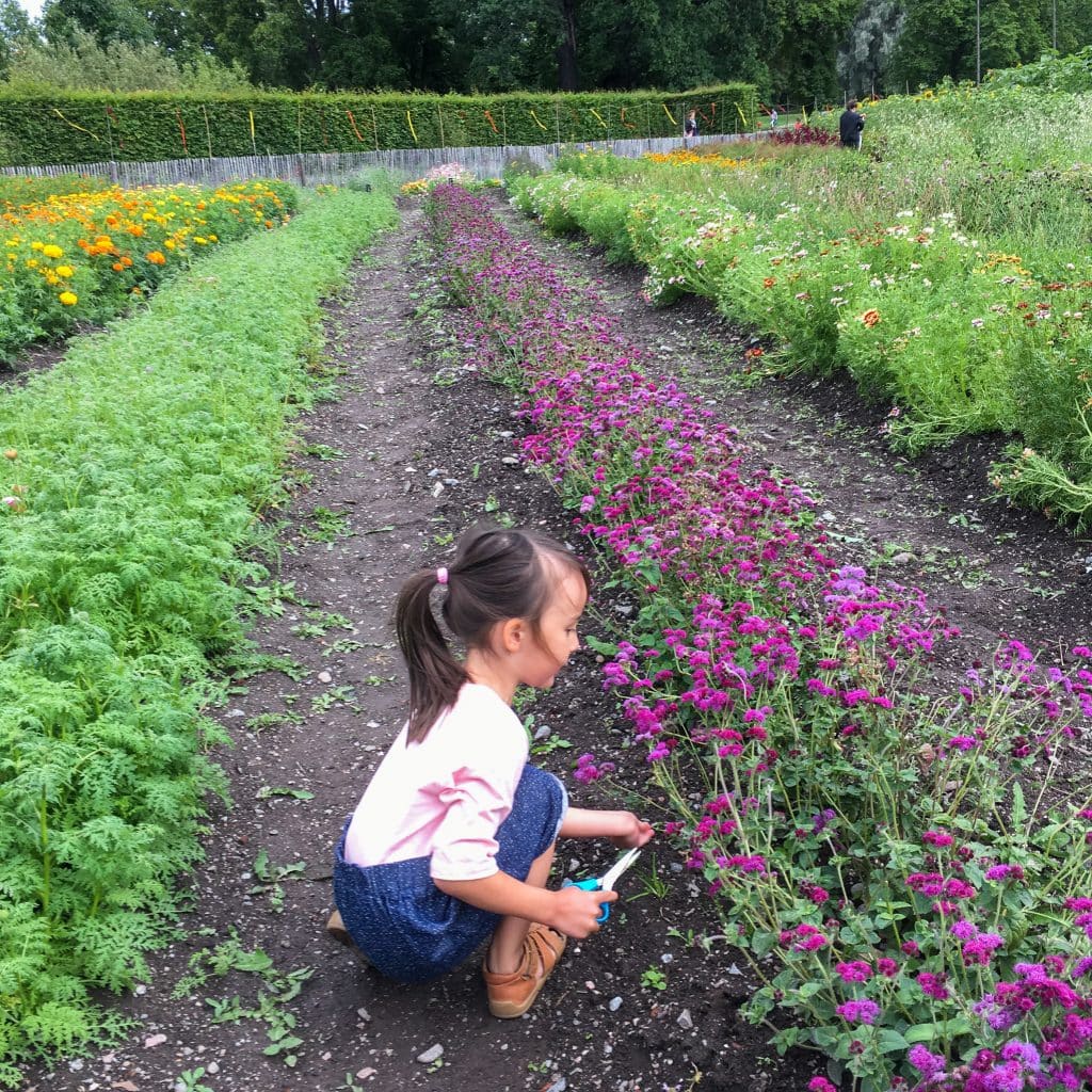 Things to do in Stockholm with kids: girl picking flowers