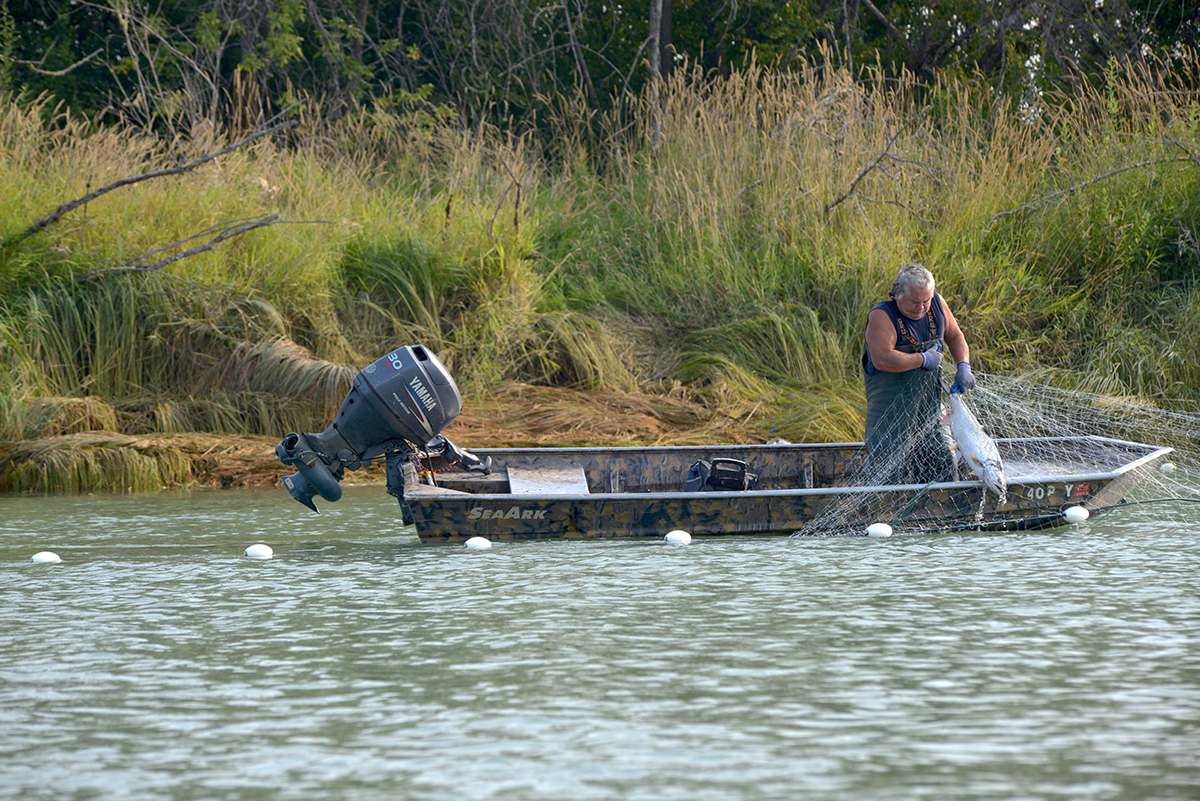 Tribal, State CoManagers Reach Salmon Fishing Season Agreement