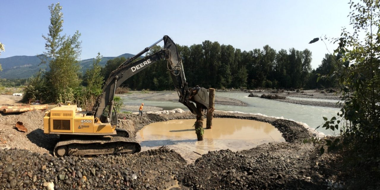 Nooksack Tribe Restores Channel for Spawning Chinook Northwest Treaty Tribes