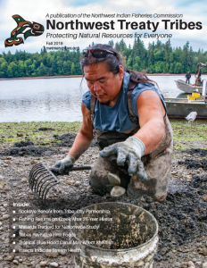 Patrick Braese, Squaxin Island tribal member, harvests shellfish for commercial sale.