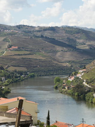 Top_River_Cruise_4