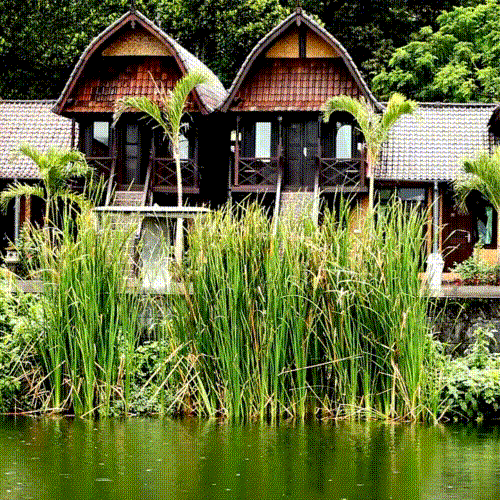bali