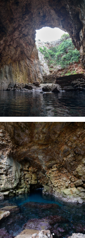 image-4