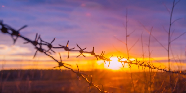 How-Barbed-Wire-Transformed-America How-Barbed-Wire-Transformed-America