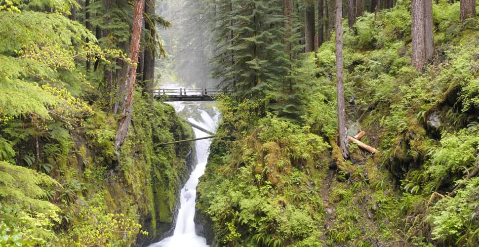 Hiking Olympic National Park Off The Beaten Path