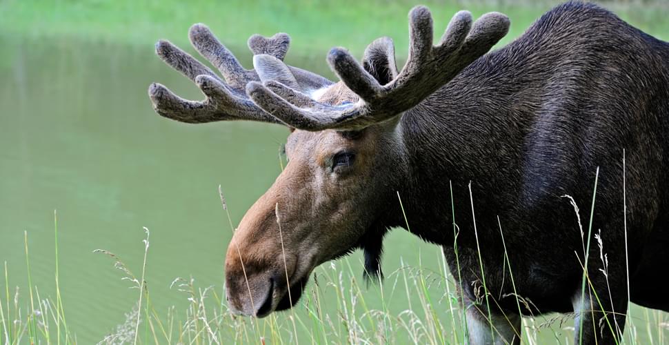 Isle Royale Wilderness Sojourn | Off the Beaten Path