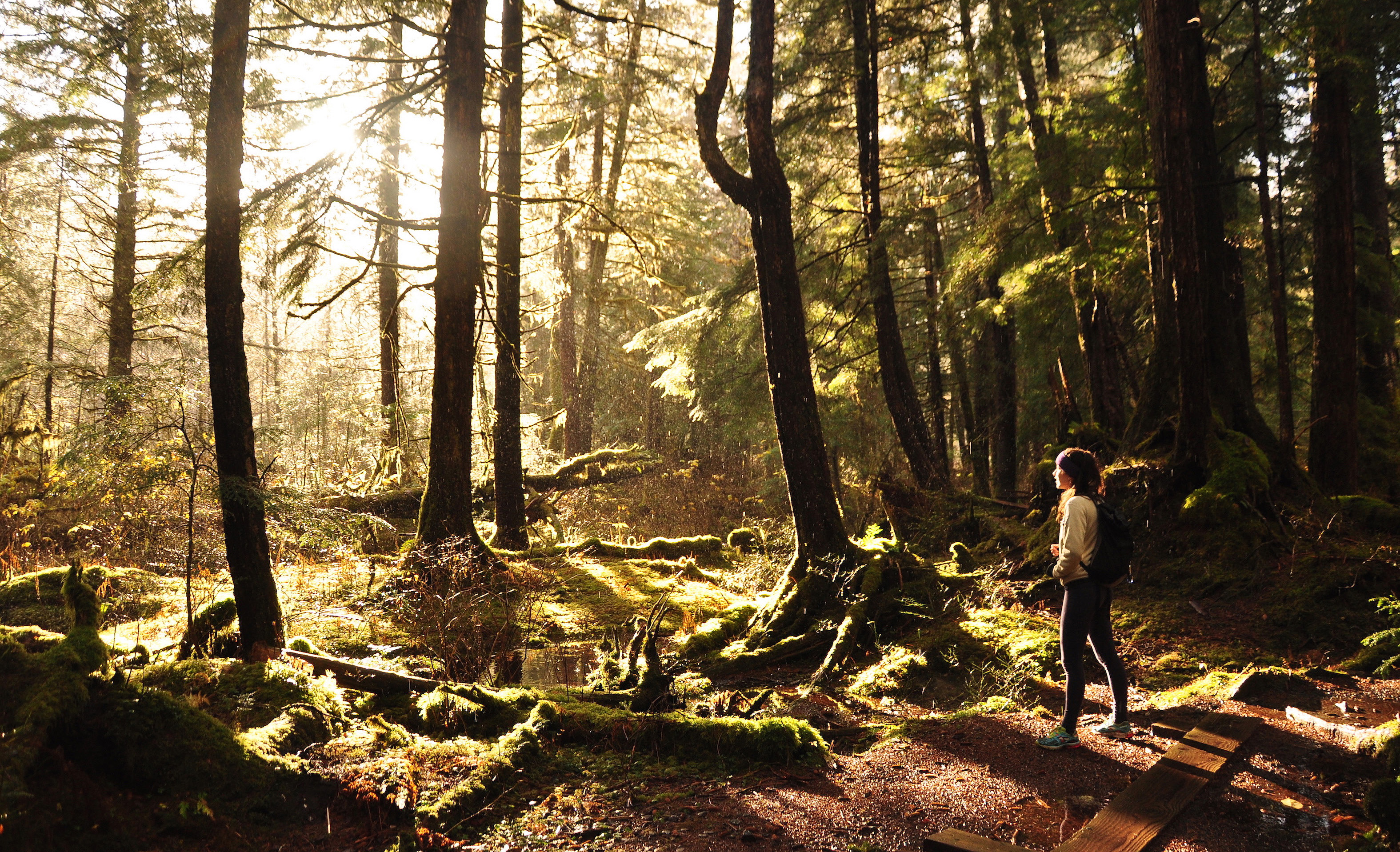 Woman in forest in wonder. Credit: Berett Wilber.