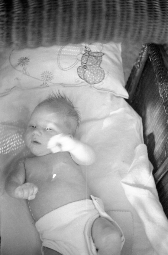 Baby in · Hanford History Project