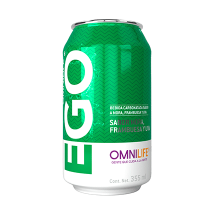 EGO FRUTAS DEL BOSQUE EVOL LATA 355 ML