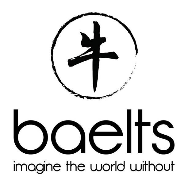 BAELTS Studio